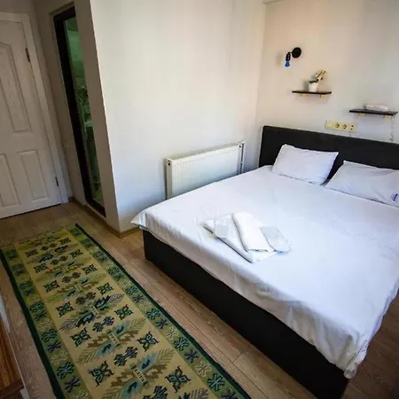 Hotel Altun Life Istanbulská provincie